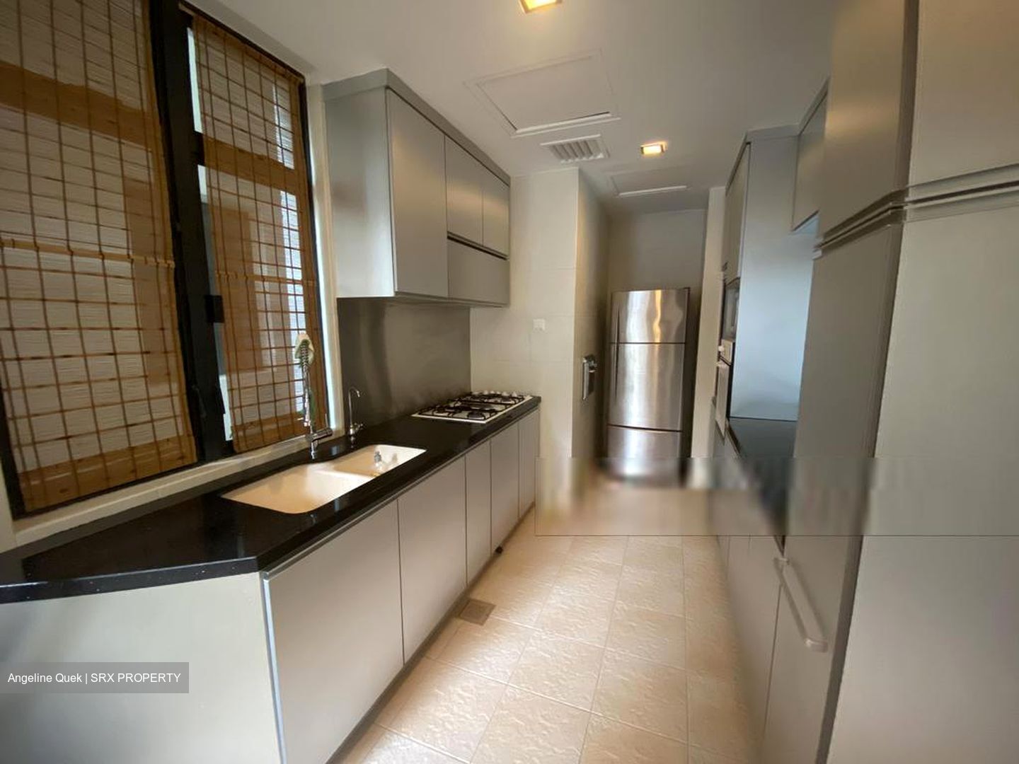 Valley Park (D10), Condominium #603698771